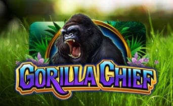 Gorilla Chief 2